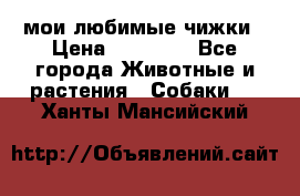 мои любимые чижки › Цена ­ 15 000 - Все города Животные и растения » Собаки   . Ханты-Мансийский